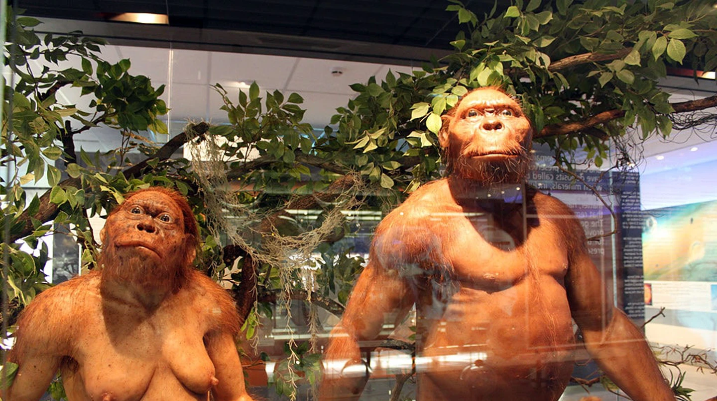 HOMINID