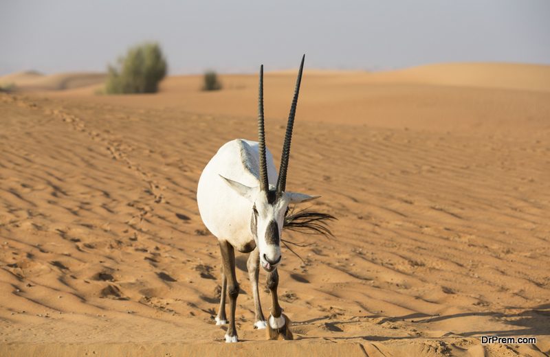 UAE