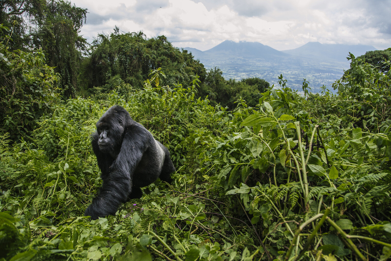 Castro-Rwanda
