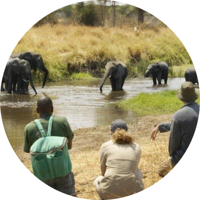 https://www.liztravelagency.com/wp-content/uploads/2022/07/Olivers-Camp-Walking-Safari-africa.png