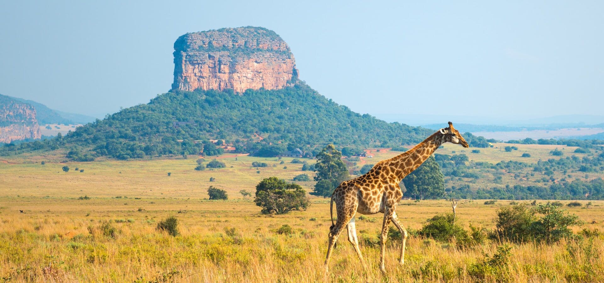 Discover Africa