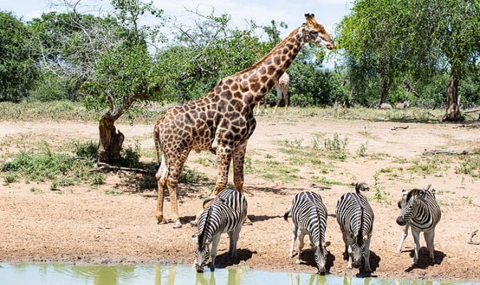 Namibia